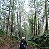 ayu_68482