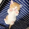 user_44643