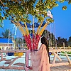 asha_95188