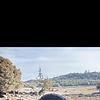 yasser_36201
