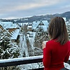 swan_86046