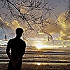 hafzil_anything