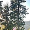 adnan_79105