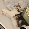 user_82924