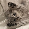 user_55620