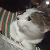 sina_18367