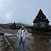 adel_53533