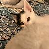 miriblueeyes