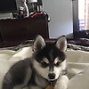 jack_82700