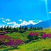 hameed_94551