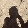 kaouter_13967