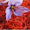 aittaleb_21655