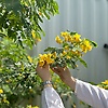 nour_nour-