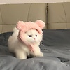 adisty_66565