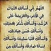 abdalmonem_22313