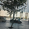 mohasaad