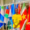abubacarr_36846