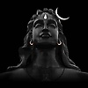 niroop_36008