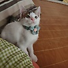 nora_25672