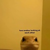 Username0666