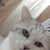 david_35320