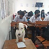 zezo90_95232