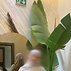 maroua_80741