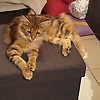 laurianne_15448