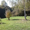 Felro