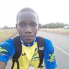 musa_88308