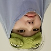 CCEGG_123