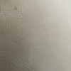 Gazelle1234