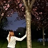 alisha_88345
