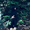 firaaaa_81271
