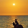 asyaa_23262