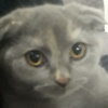 user_33901