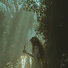 sun_39235