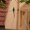sj_07