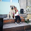 amira.fekecs