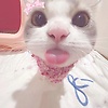 elle_78460