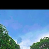 yani_61319