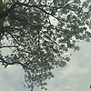 faria_53399