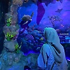 zalfas_94082