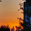 burak_395495