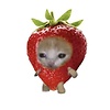 sourcandie
