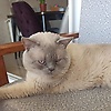 cem_40960