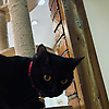 ariel_55963