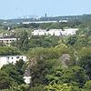 marcel_63091