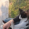 nigar_92497