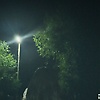 aalia_42285